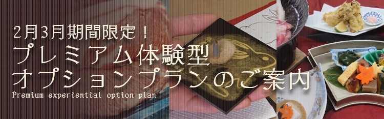 2月3月期間限定！プレミアム体験型オプションプランのご案内